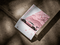Porsche 911 GT3 RS "Sakura Limited Edition" Japanese Editorial Poster